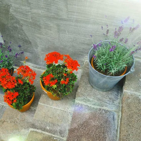 Landhaus-willi Daire