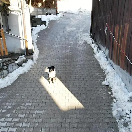 Landhaus-willi Daire Gaschurn