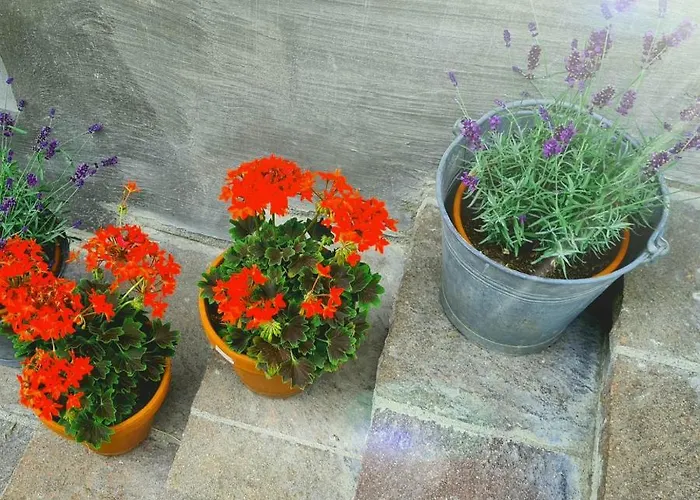 Landhaus-willi Apartment